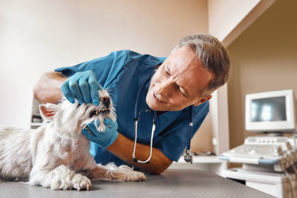 Best Emergency Tooth Extraction in Victory Lakes, NJ